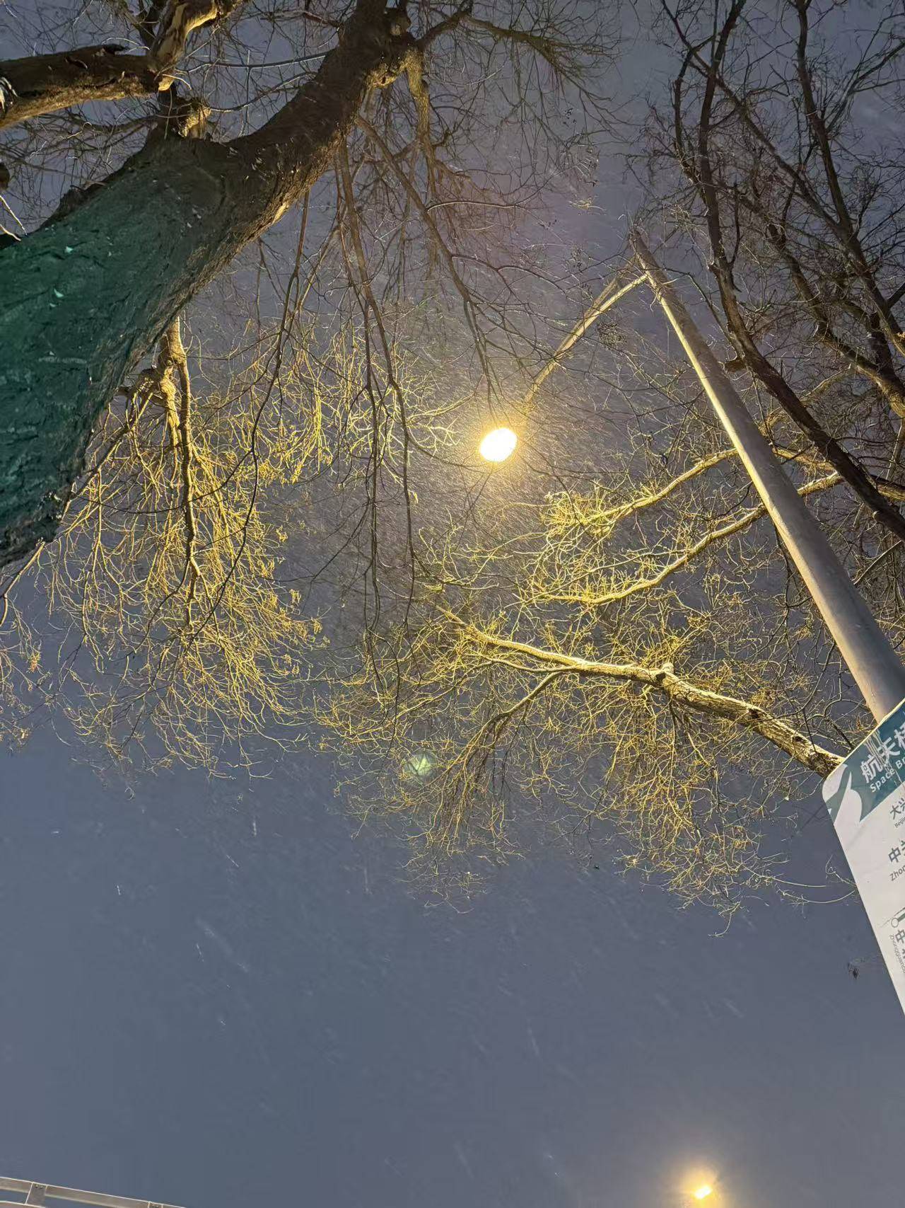 请输入图片描述