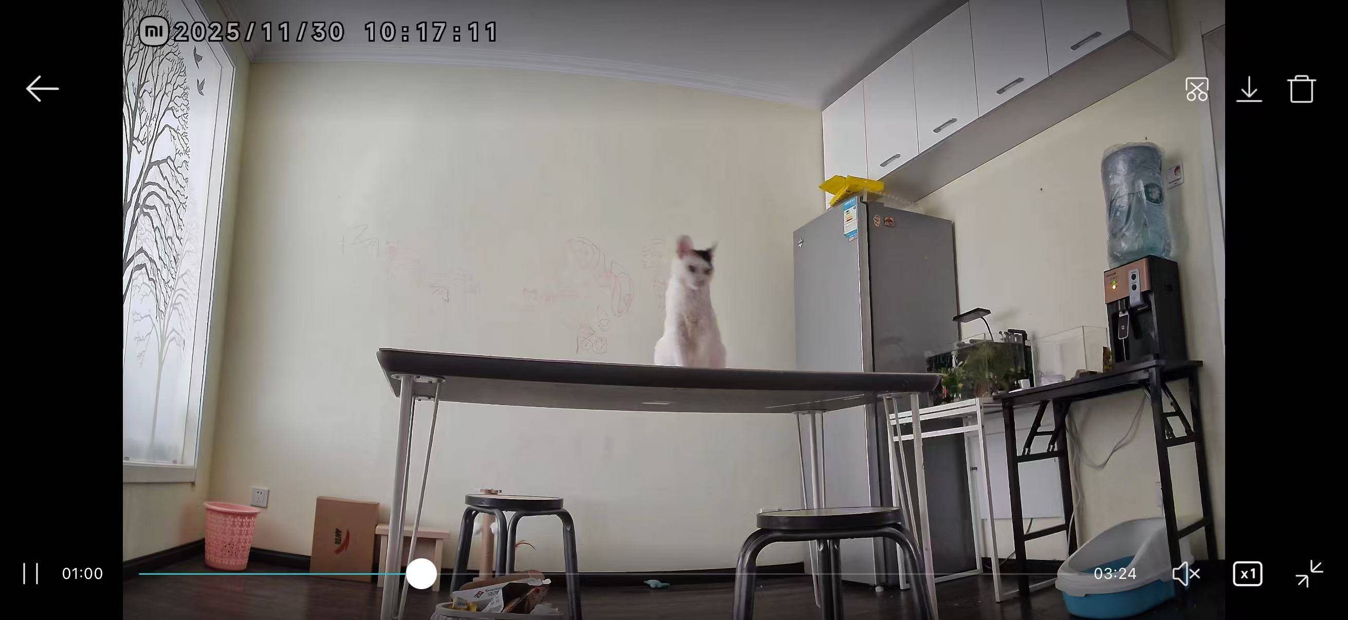 请输入图片描述