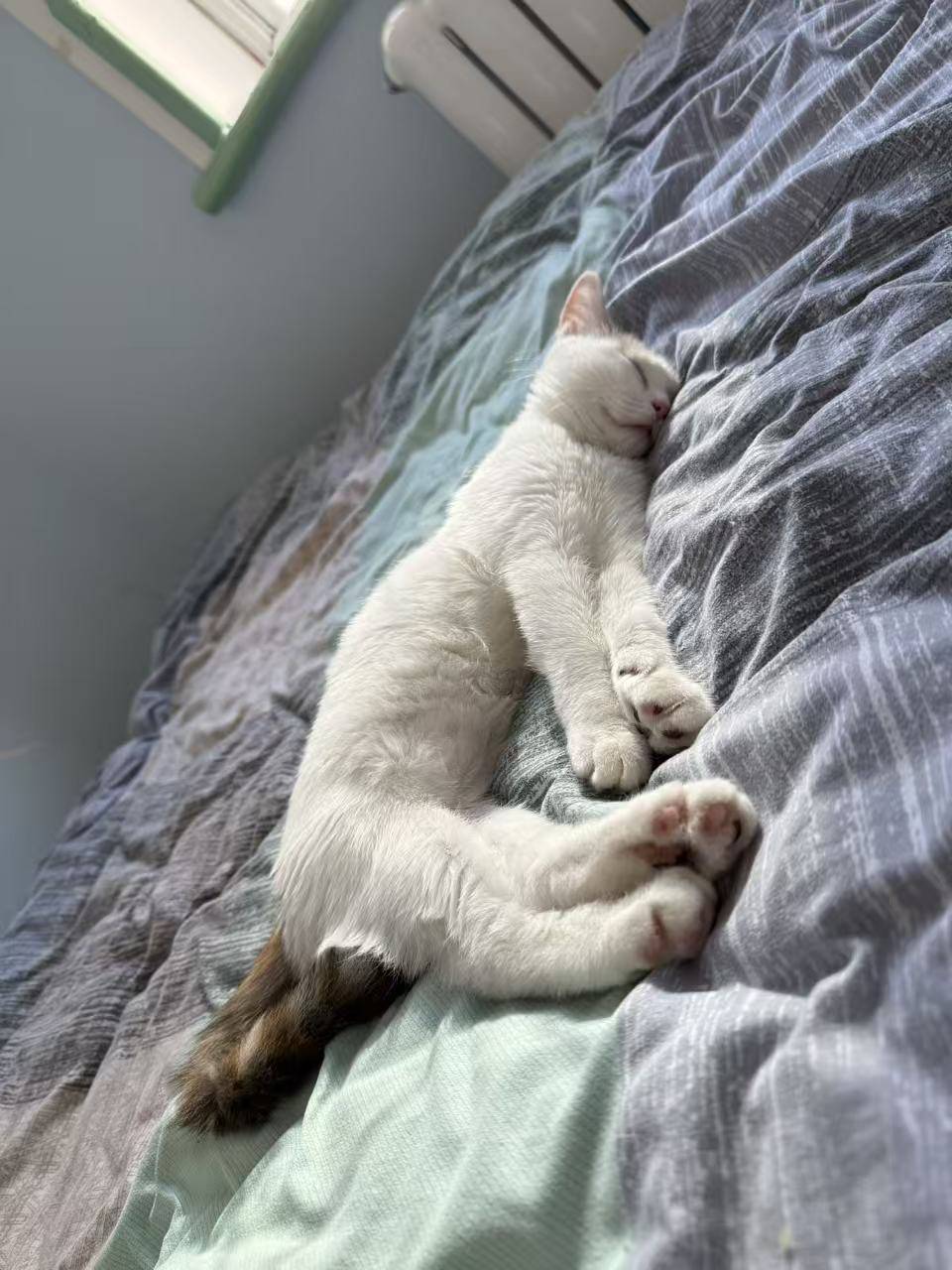 请输入图片描述