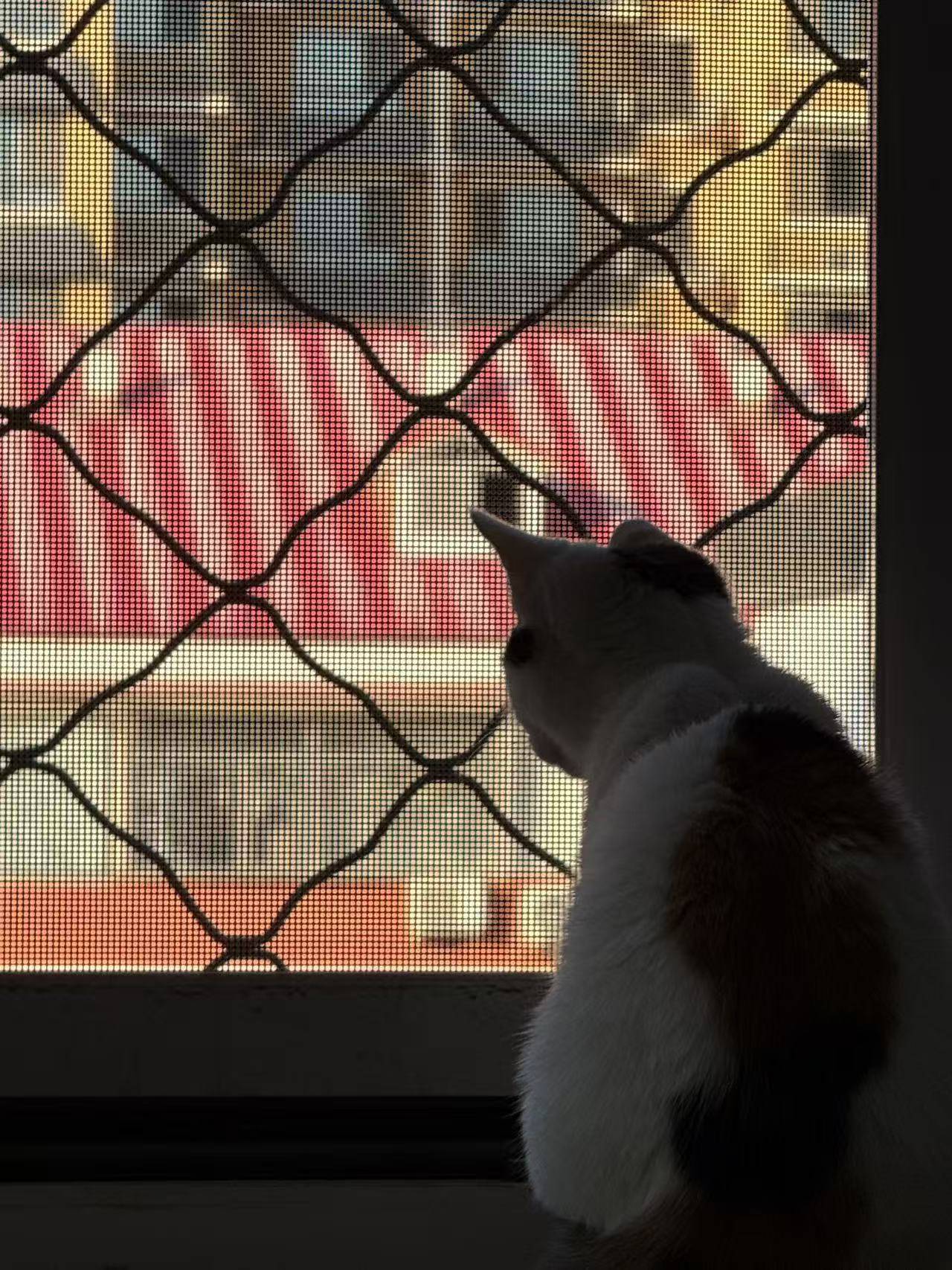 请输入图片描述