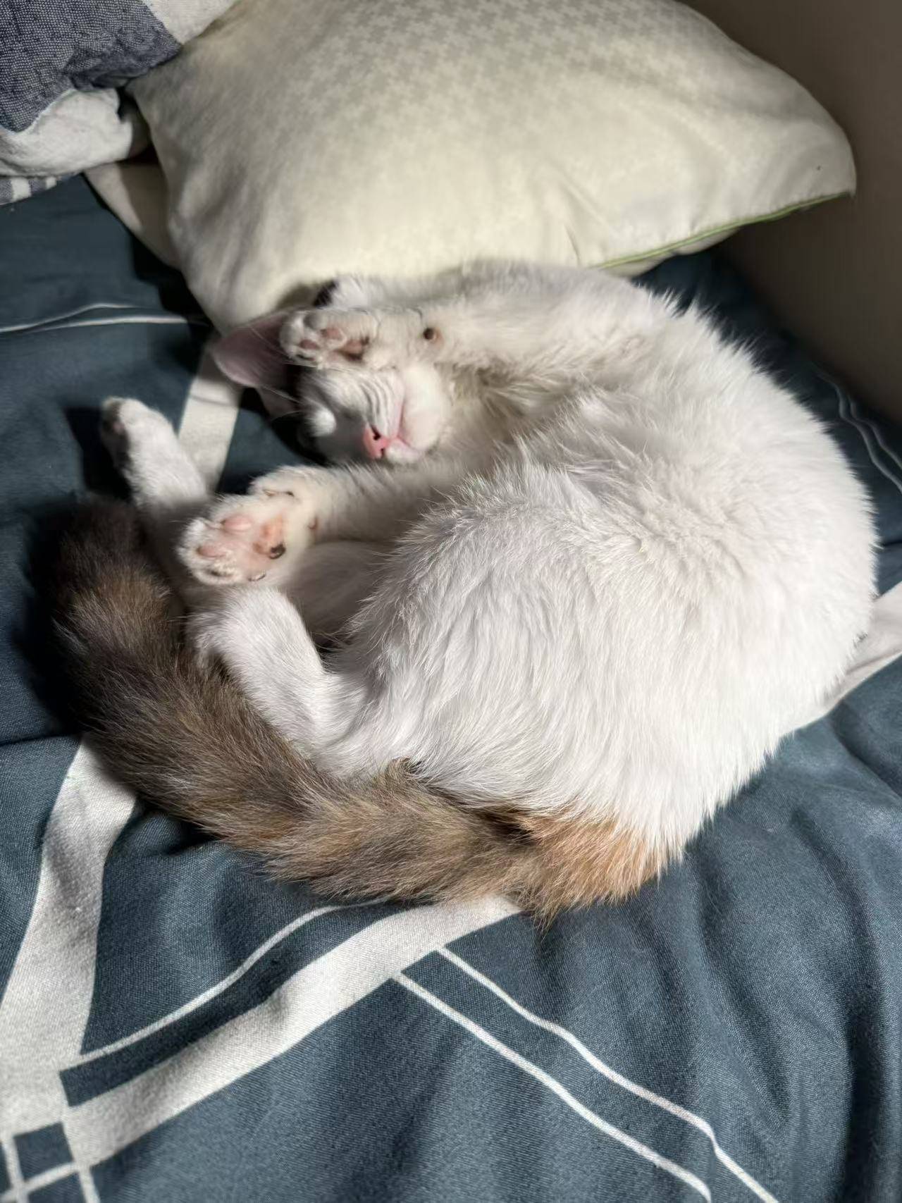 请输入图片描述