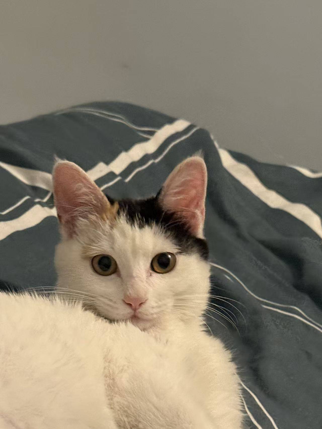 请输入图片描述