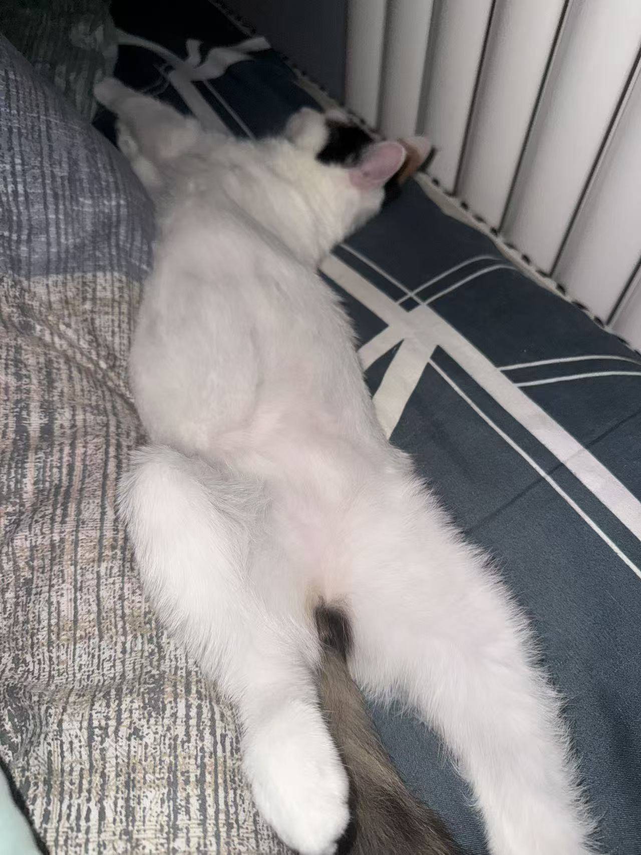 请输入图片描述