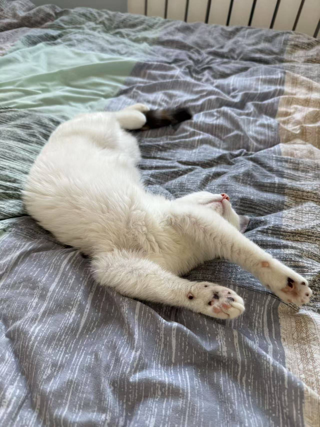 请输入图片描述