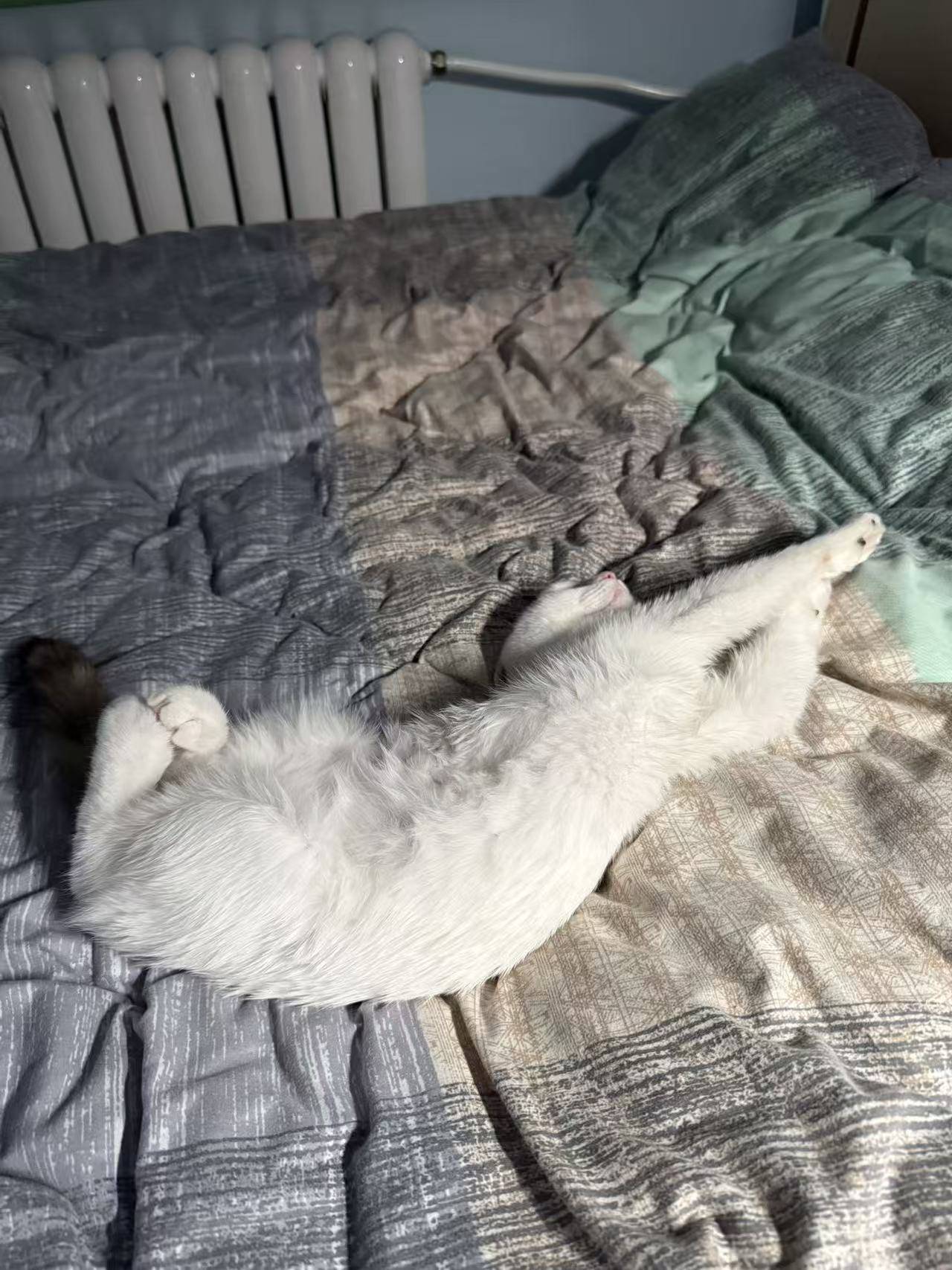 请输入图片描述