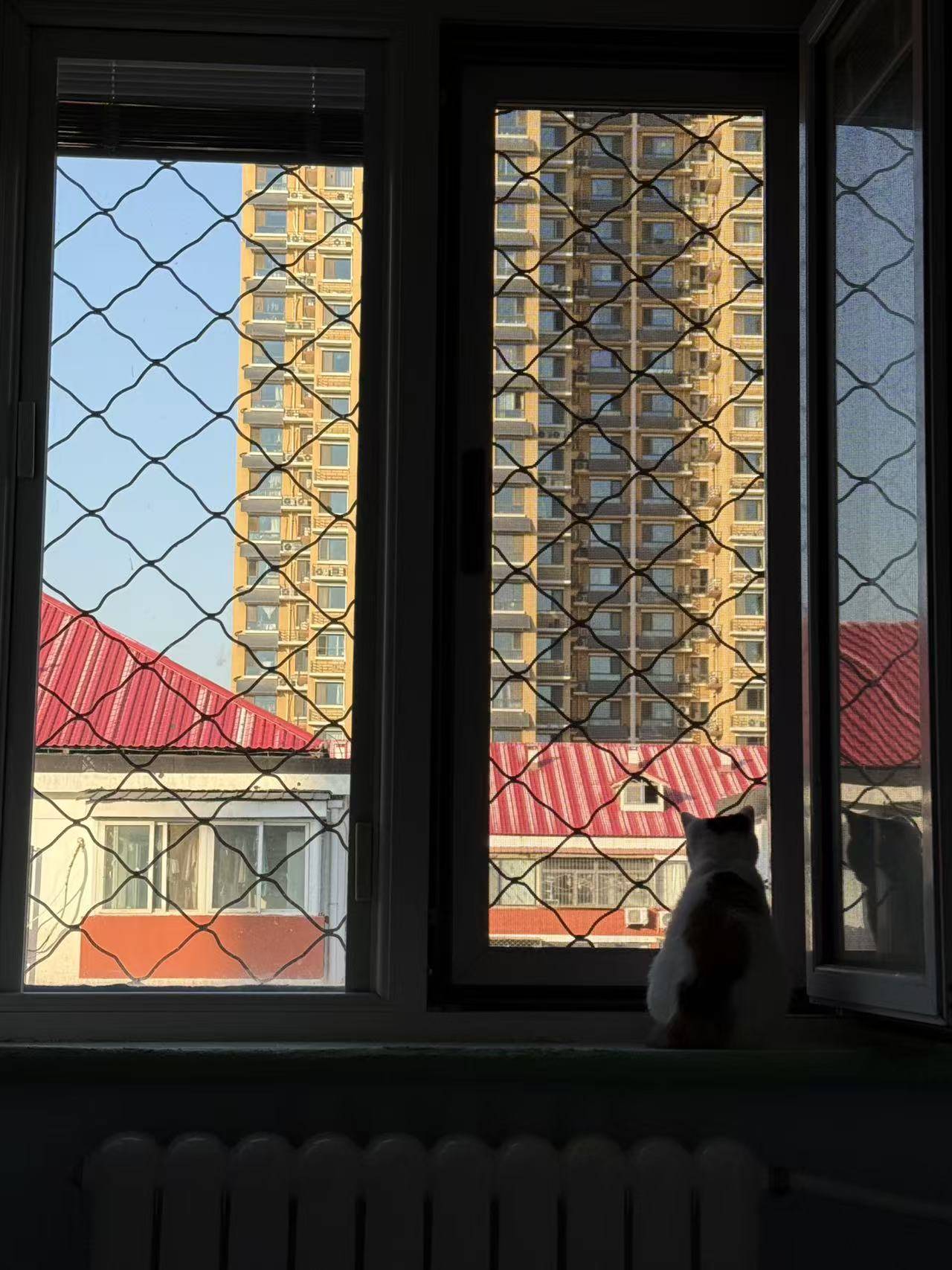 请输入图片描述