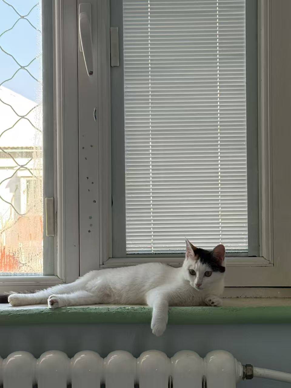 请输入图片描述